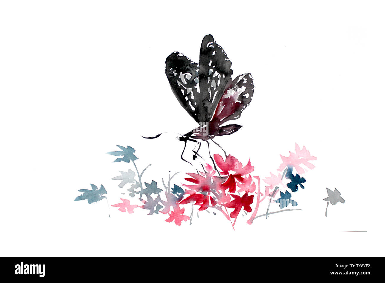 Butterfly nero illustrazione animale naturale di insetti sfondo decorativo vegetale close-up del modello bellissime creature Foto Stock
