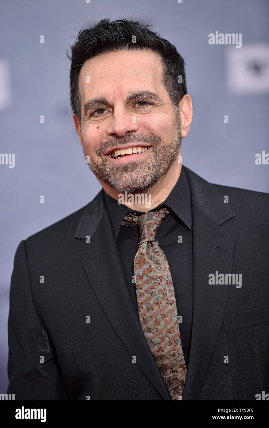 Mario Cantone arriva per la decima edizione della TCM Classic Film Festival apertura notturna lo screening di 'HARRY TI PRESENTO SALLY' a TCL Chinese Theatre di Los Angeles, la California il 11 aprile 2019. Foto di Chris Chew/UPI Foto Stock