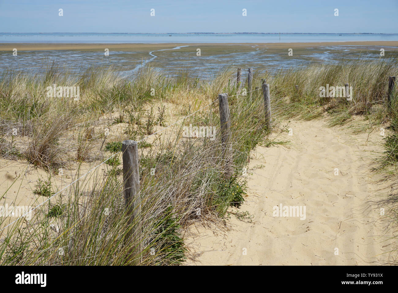 Sentiero di sabbia che conduce alla spiaggia e l'oceano sulla costa atlantica della Francia Foto Stock