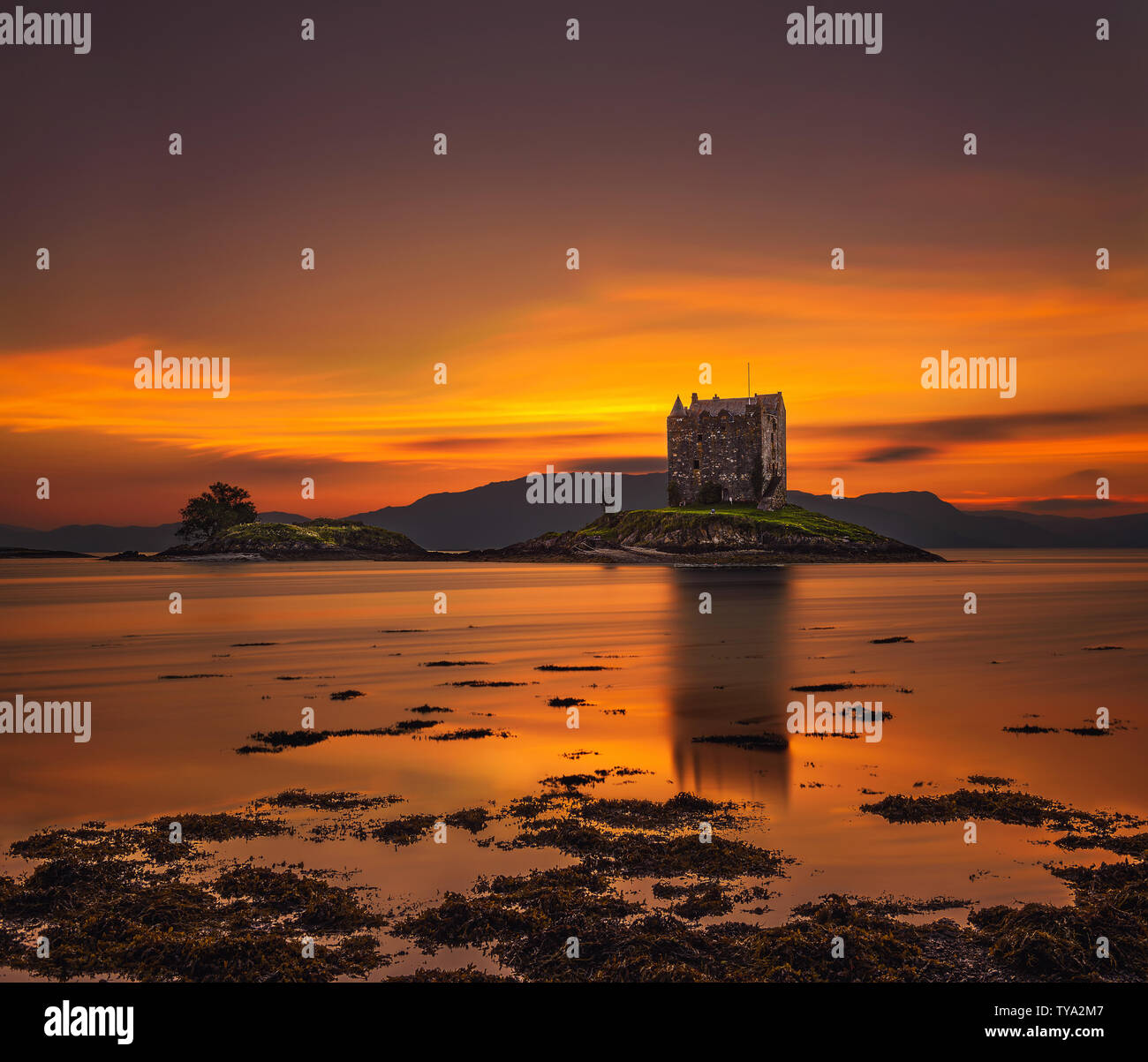 Sunset over Castle Stalker su Loch Appin in Scozia, Regno Unito Foto Stock