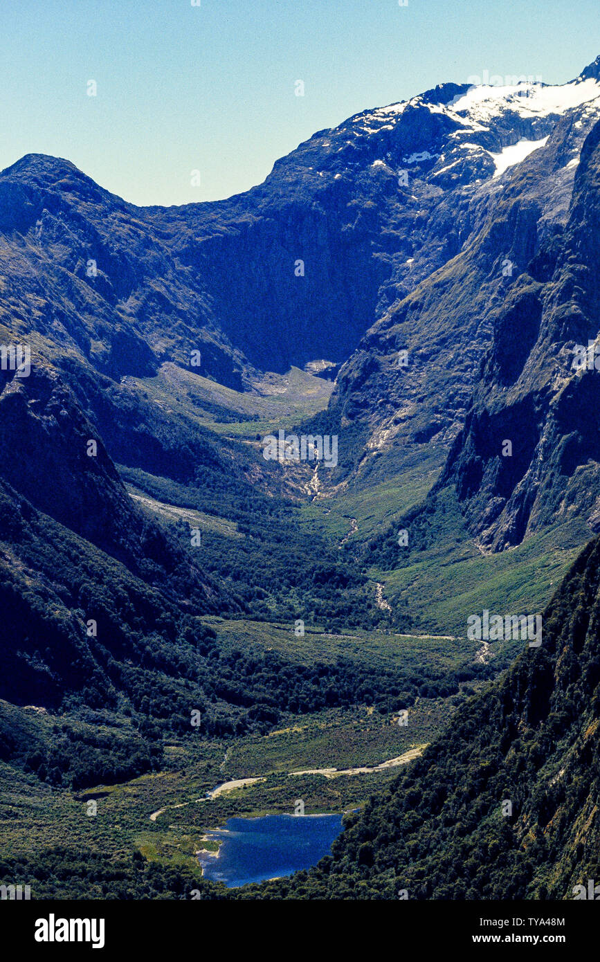 Nuova Zelanda, Isola del Sud. Foto: © Simon Grosset. Archivio: immagine digitalizzati da un originale di trasparenza. Presa nel novembre 1989 Foto Stock