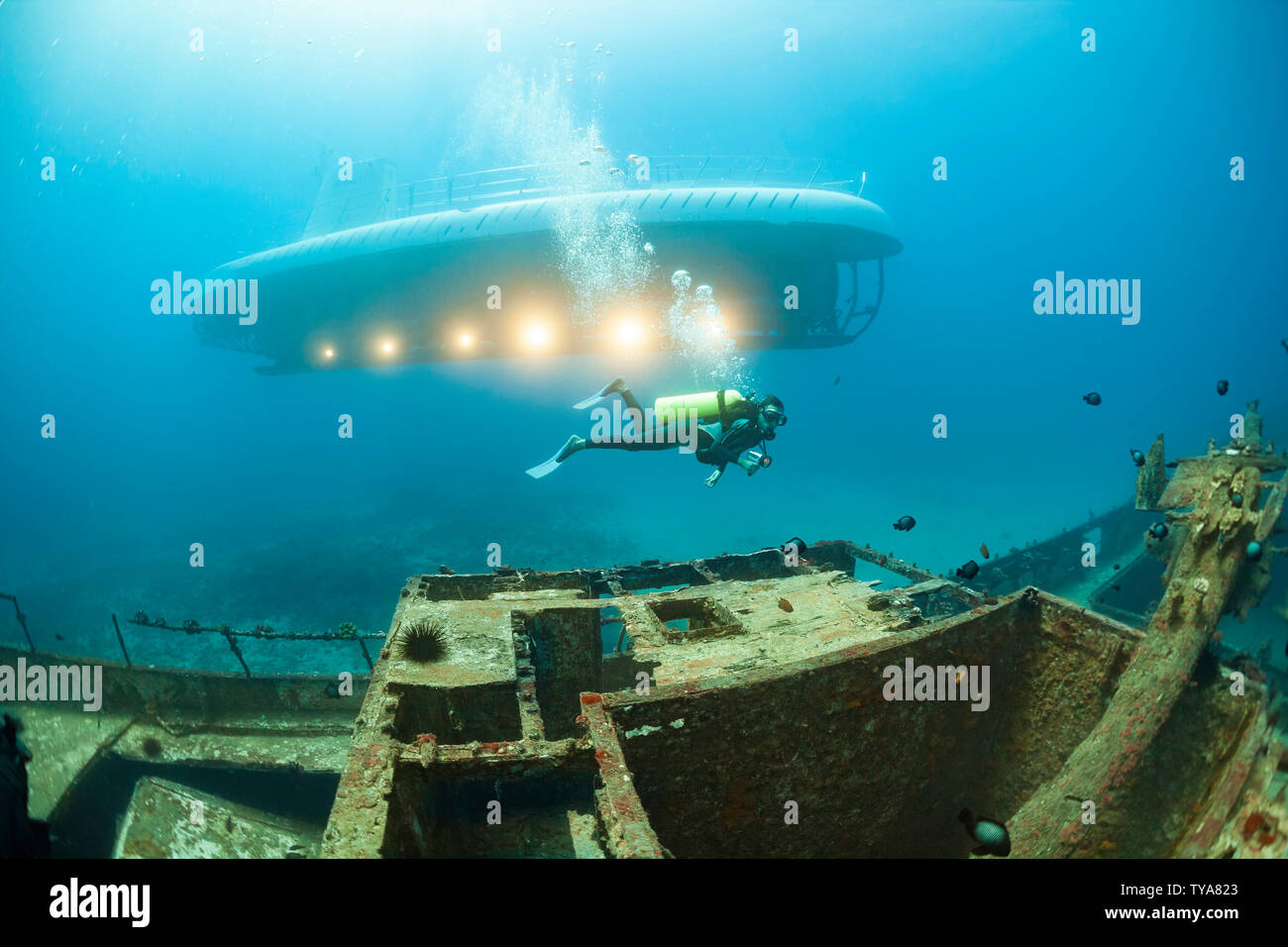 Un subacqueo nuota oltre i Cartaginesi, un punto di riferimento di Lahaina, che fu affondato come una barriera corallina artificiale off Lahaina, Maui, Hawaii nel dicembre 2005. L'Atlantis s Foto Stock