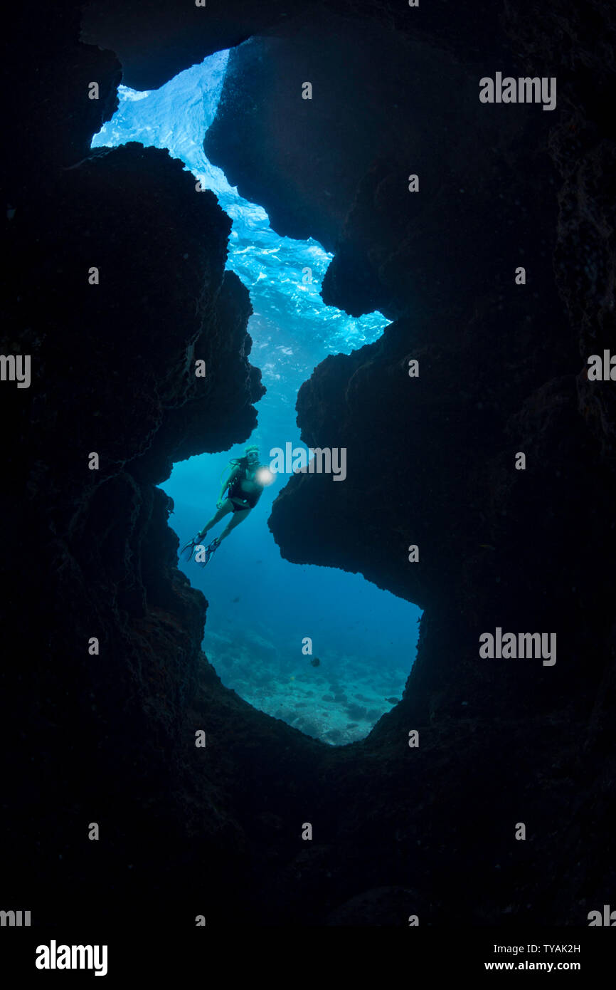 Un subacqueo (MR) irradia la sua luce in una fessura di apertura Kaiwe off punto sulla costa di Kona della Big Island delle Hawaii. Foto Stock
