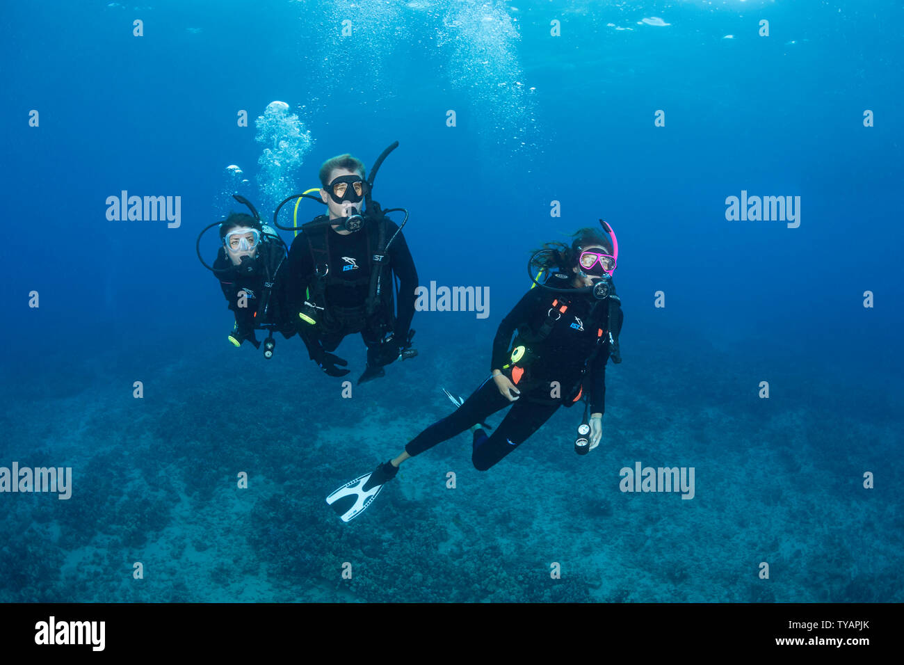 Tre subacquei (MR) crociera raffigurato su una scogliera al largo dell'isola di Maui, Hawaii. Foto Stock