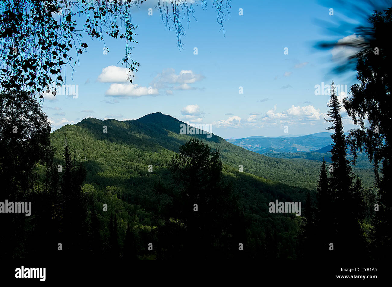 Il fascino e la bellezza della natura incontaminata di Altai Foto Stock