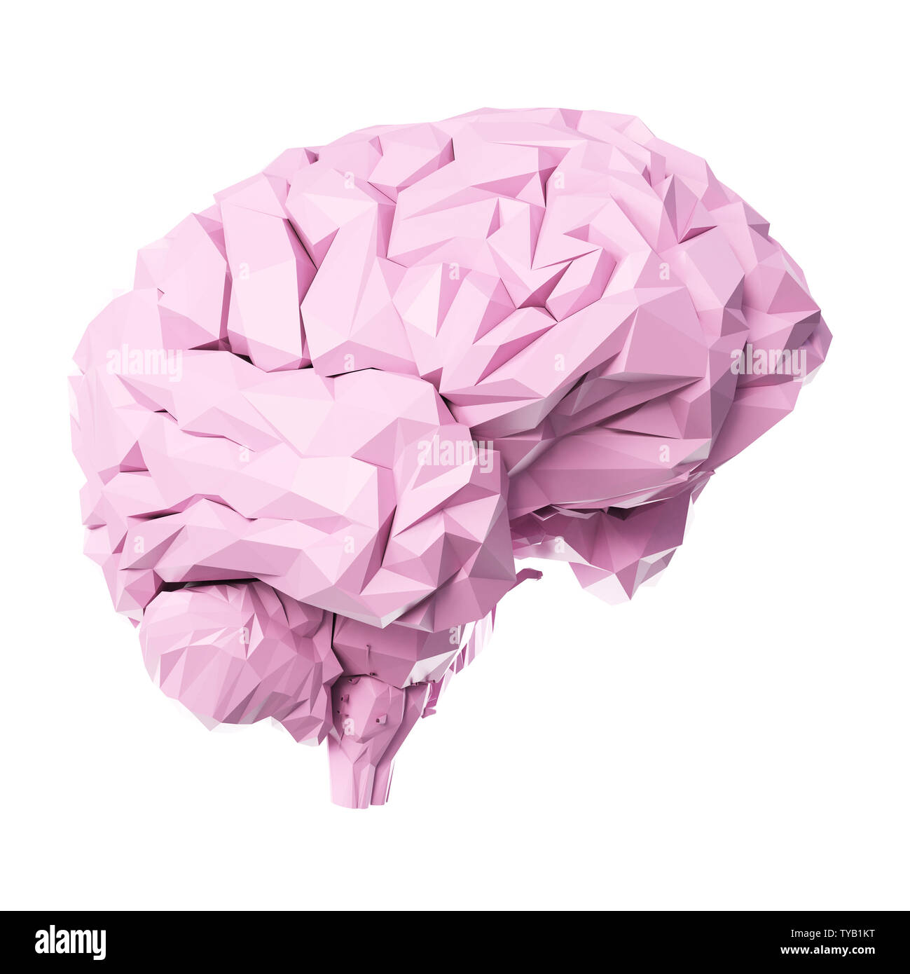 3D Rendering accurato dal punto di vista medico illustrazione di un poli cervello stile Foto Stock