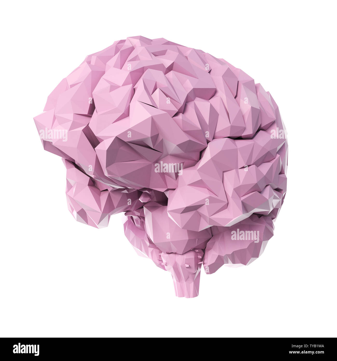 3D Rendering accurato dal punto di vista medico illustrazione di un poli cervello stile Foto Stock