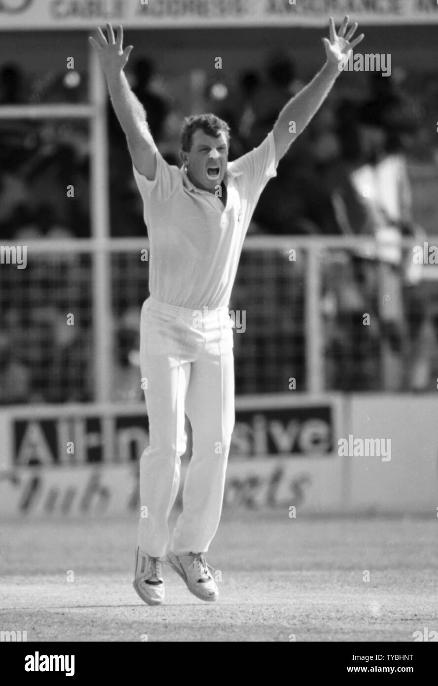 Cricket 1991 Craig McDermott Australia prende un paletto Foto di Tony Henshaw Foto Stock