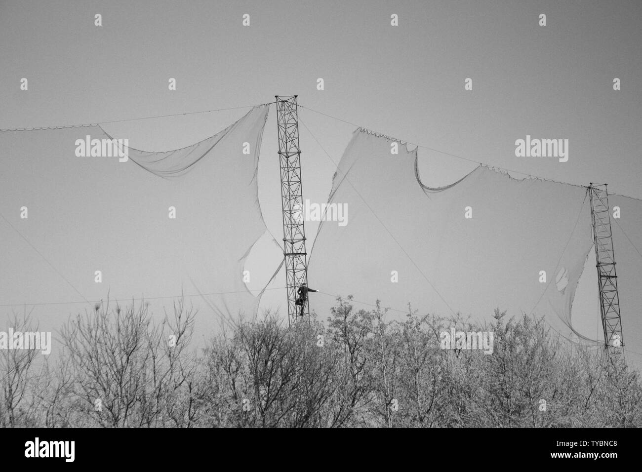 Campo da golf lavoratore di manutenzione Foto Stock