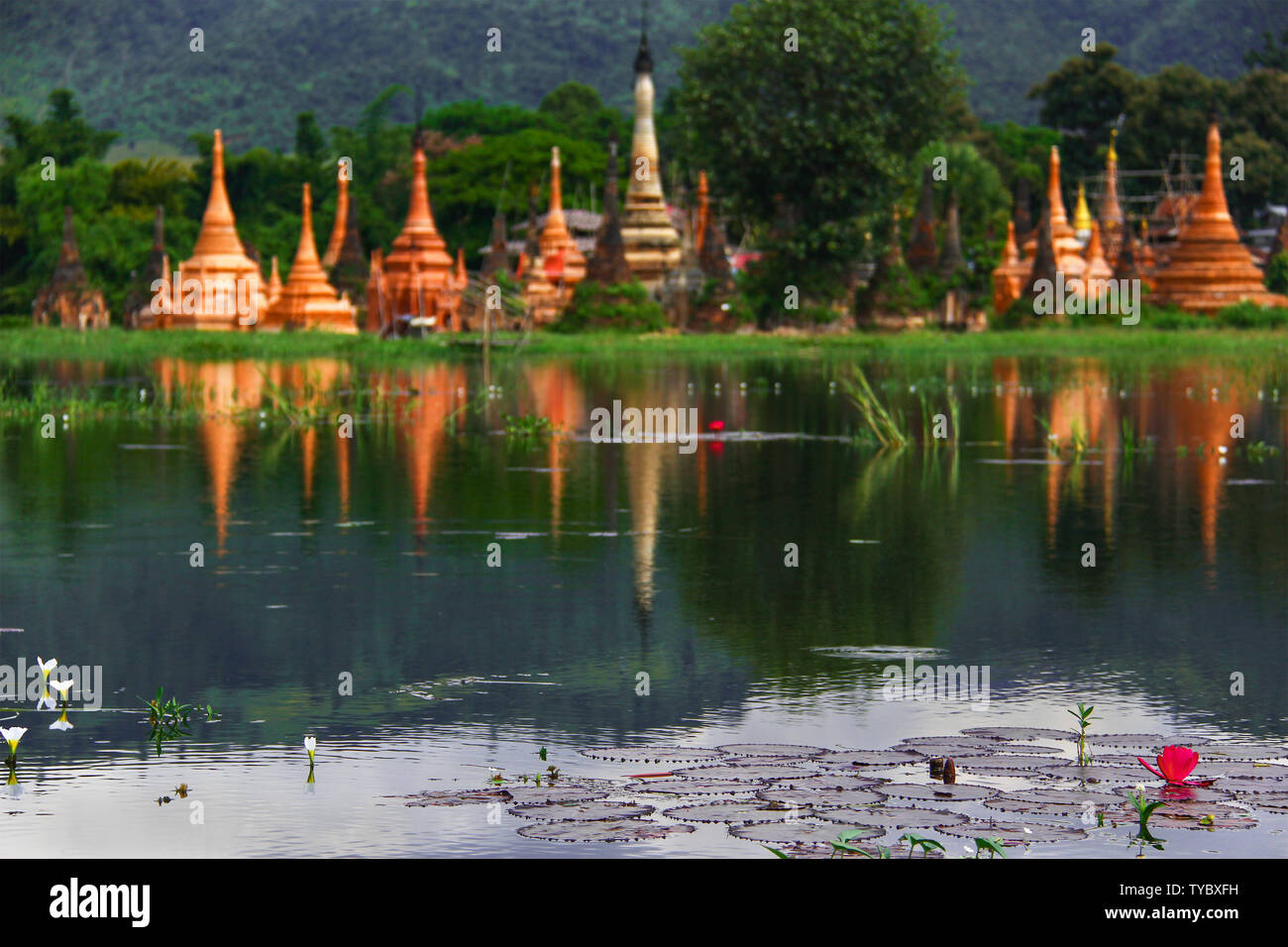 Fiore di Loto Fiore di antiche pagode buddiste in background sul lago con intarsio in Birmania/Myanmar. Foto Stock