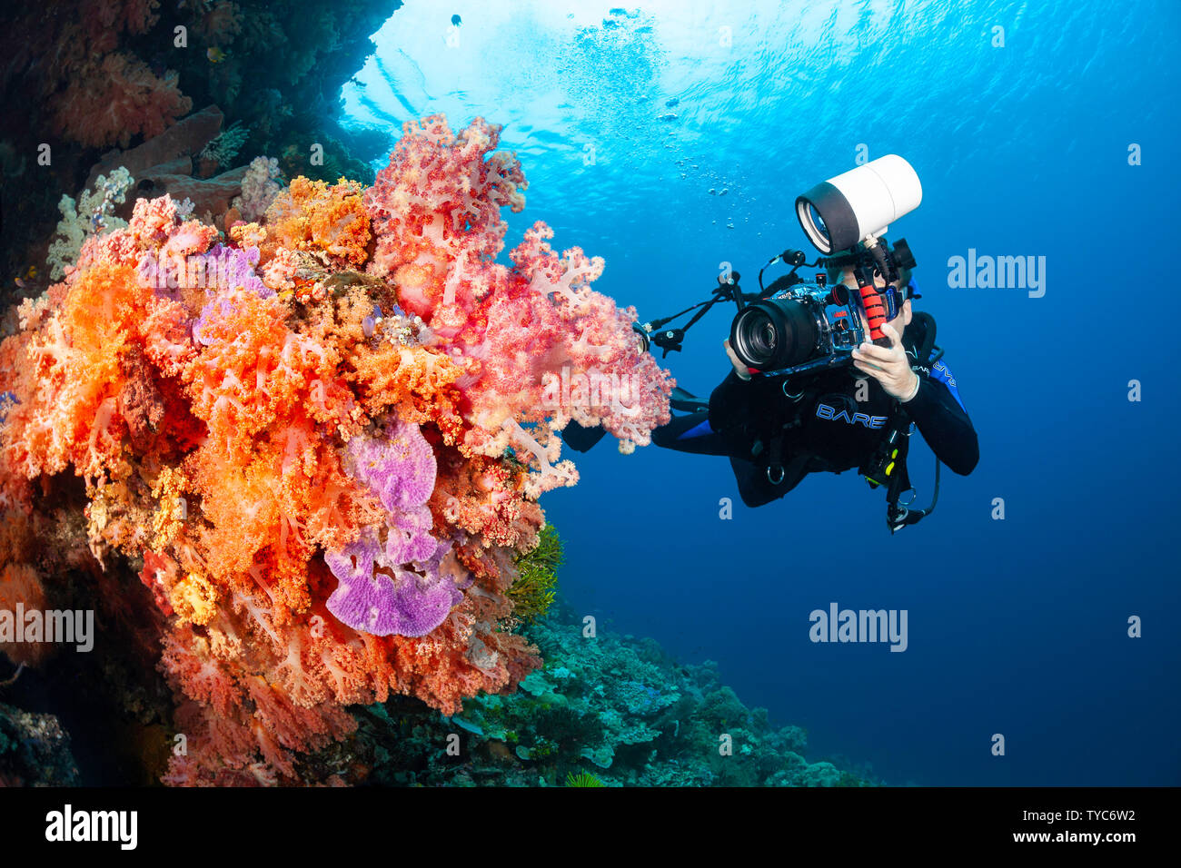 Un fotografo (MR) linee con una reflex in un alloggiamento con un obiettivo macro per sparare soft coral dettaglio, Indonesia. Foto Stock