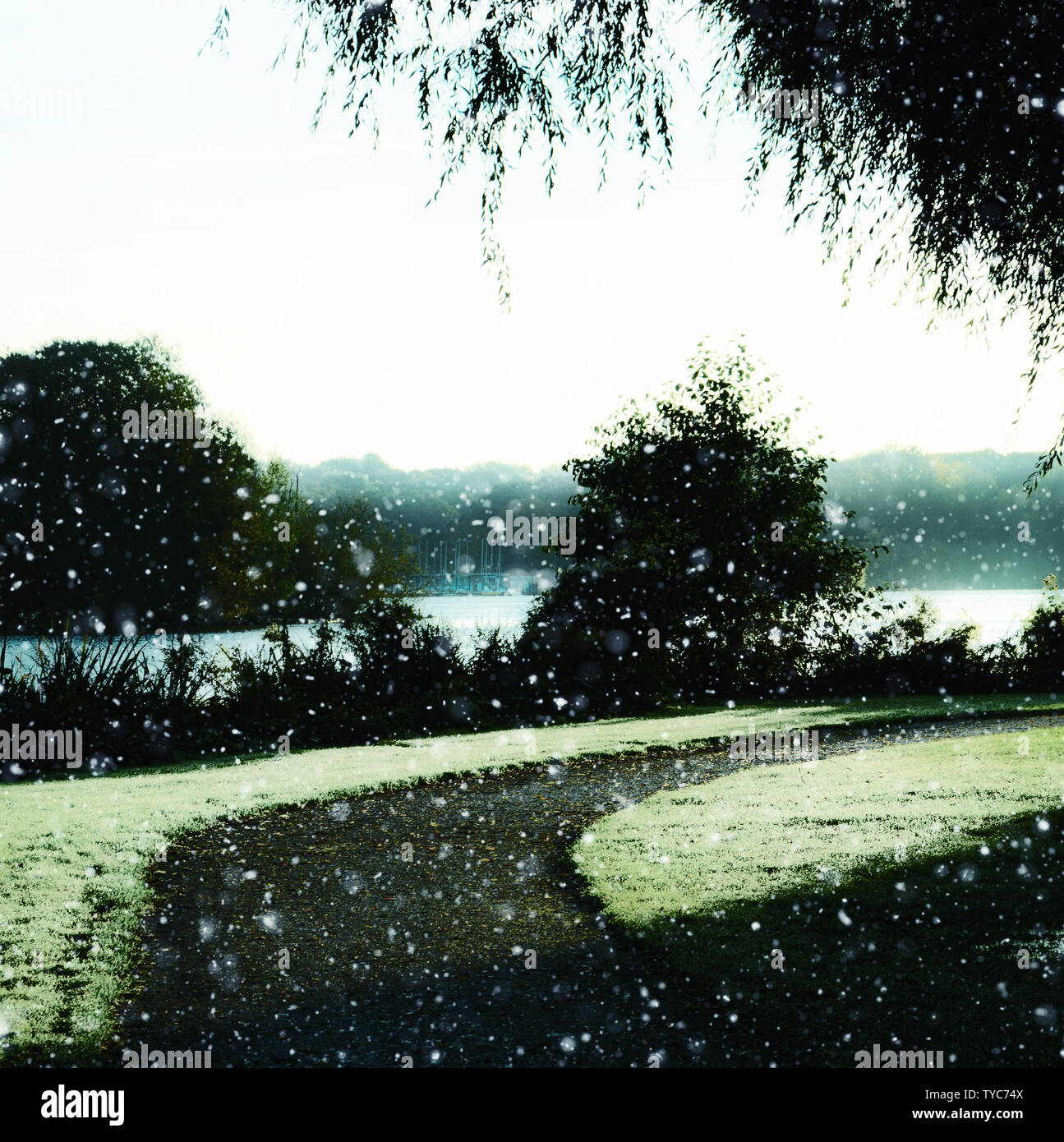 Svuotare il sentiero curvando a destra nel parco vicino a un lago mentre la neve in inverno. Marina con barche visibile in background. Catturate in Kralingen, Nether Foto Stock