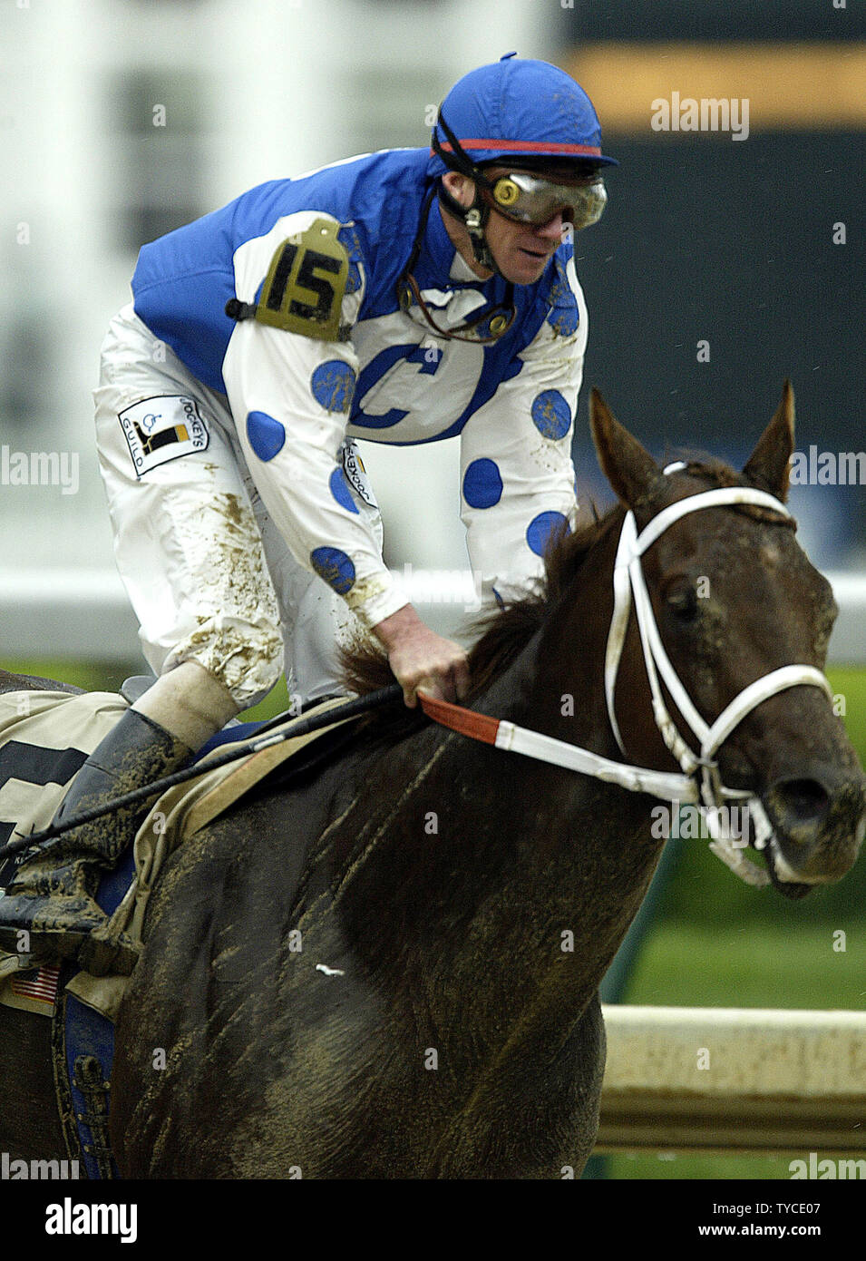 Fantino Stewart Elliott rides Smarty Jones a vittoria in 130In esecuzione del Derby del Kentucky a Louisville, KY, 1 maggio 2004. (UPI foto/Mark Cowan) Foto Stock