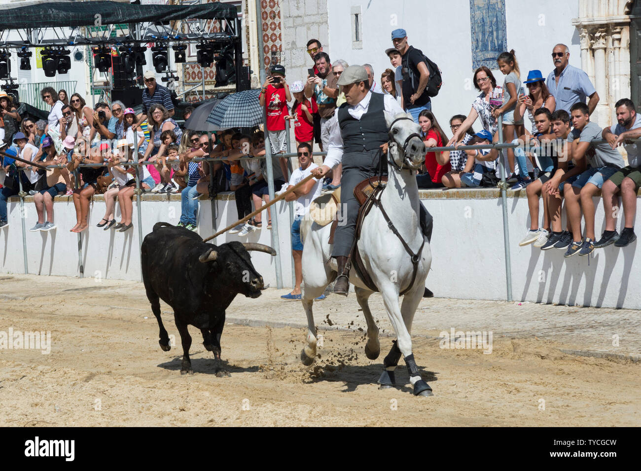 Tori selvaggi in esecuzione e guidato da cavalieri in strade, feste locali fare Barrete Verde e das Salinas, Alcochete, Provincia di Setubal, Portogallo Foto Stock