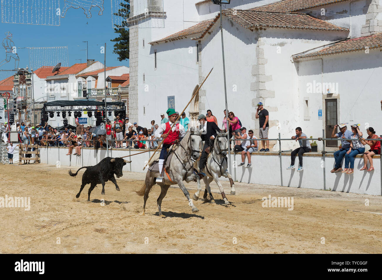 Tori selvaggi in esecuzione e guidato da cavalieri in strade, feste locali fare Barrete Verde e das Salinas, Alcochete, Provincia di Setubal, Portogallo Foto Stock