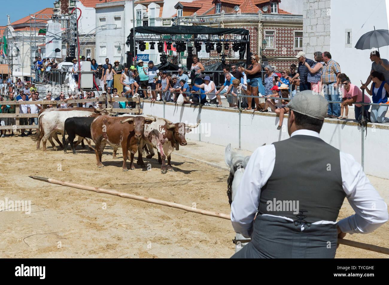 Sfilata di cavalli e di tori nelle strade, feste locali fare Barrete Verde e das Salinas, Alcochete, Provincia di Setubal, Portogallo Foto Stock