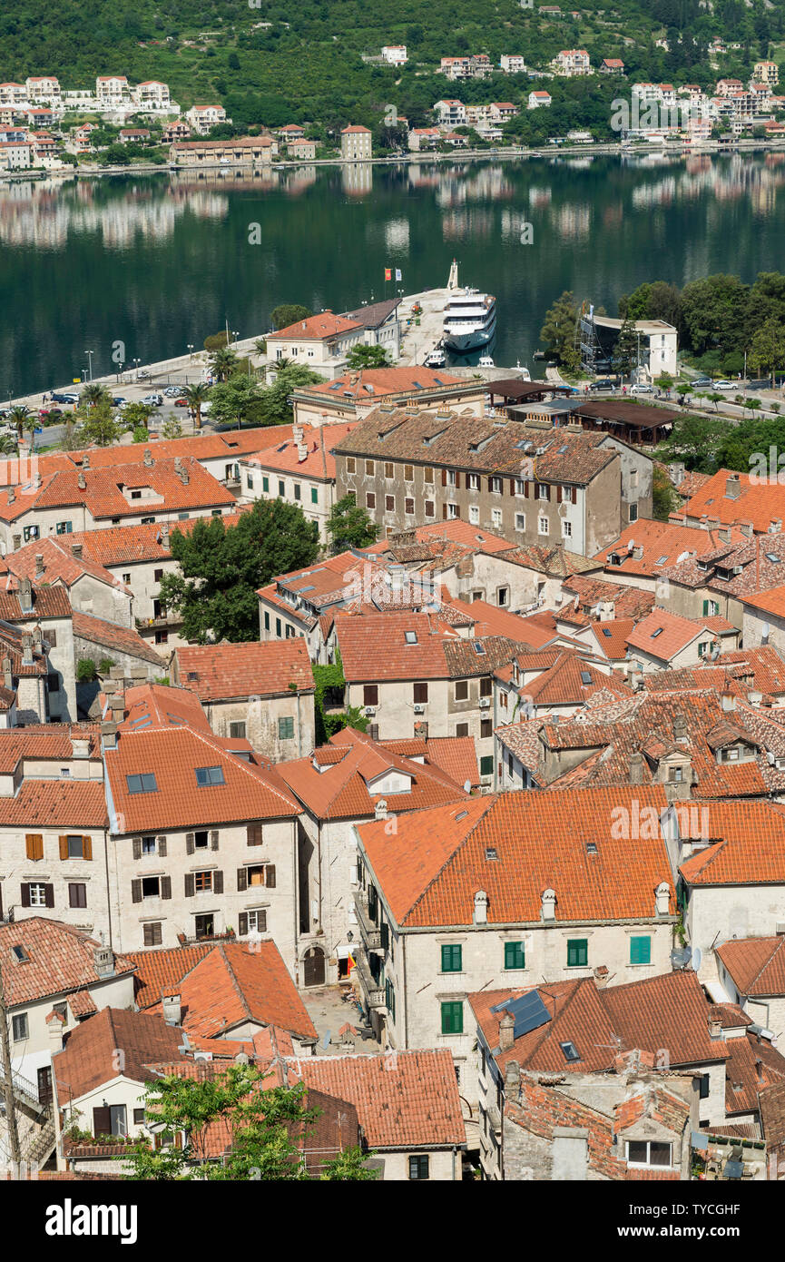 Cattaro Città Vecchia, sito Patrimonio Mondiale dell'Unesco, Kotor, Montenegro Foto Stock