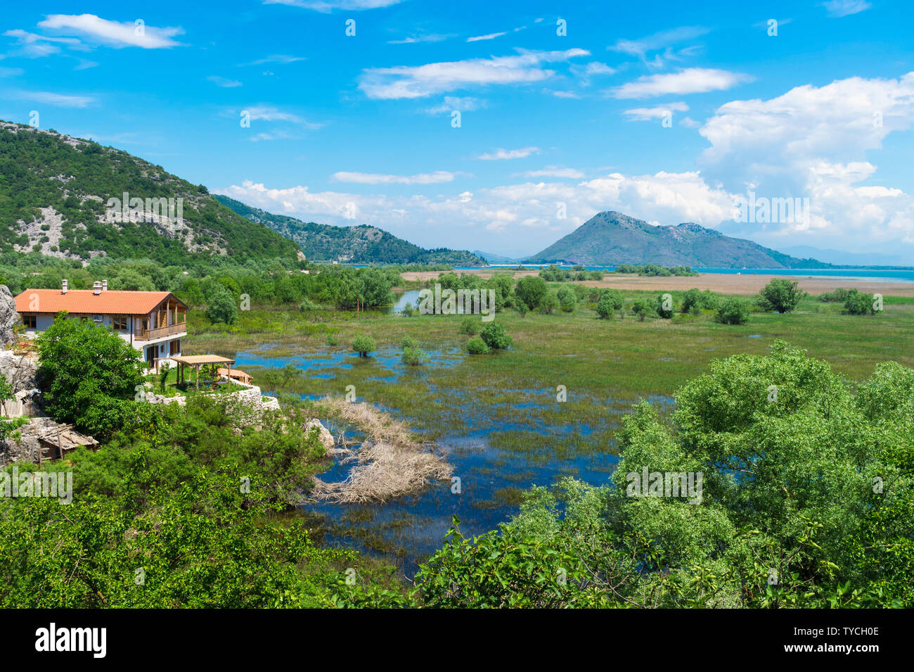 Skandar lago e campo allagato, Virpazar, Montenegro Foto Stock
