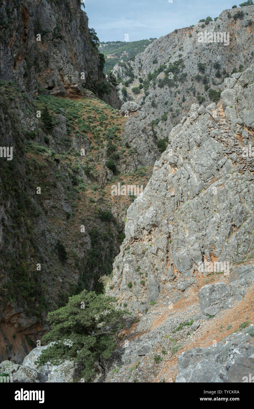 Aradena gorge, aradena, Sphakia, CHANIA, CRETA, mar Ionio, Grecia, Europa Foto Stock