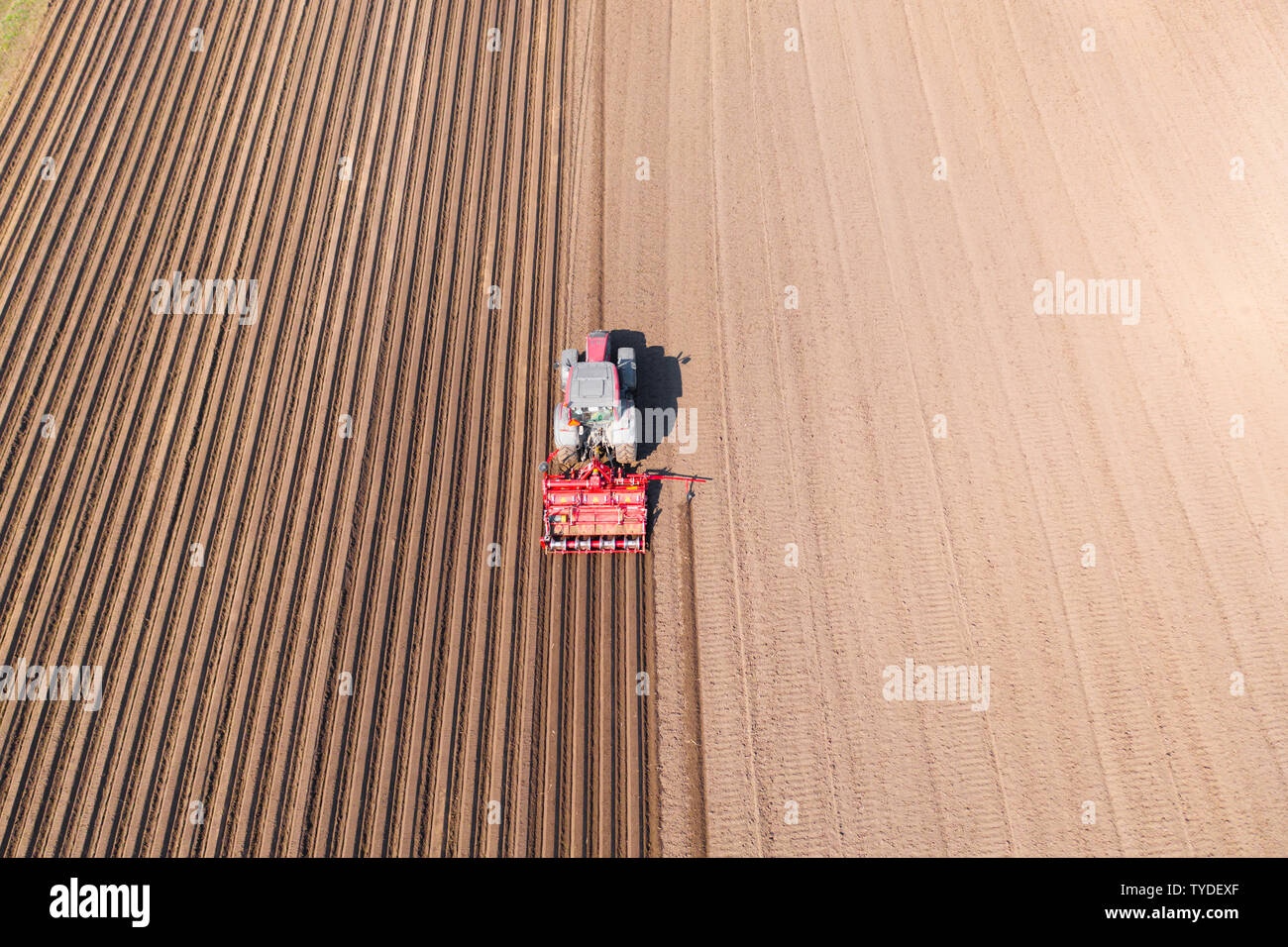 Trattore con gli erpici a dischi su terreni agricoli, vista dall'alto. Il trattore taglia di solchi di un campo arato. Preparare il campo per la semina di verdure. Il lavoro agricolo con un trattore. Foto Stock