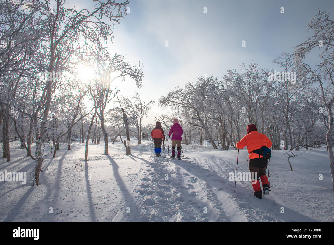 In data 8 dicembre 2018, un gruppo di cinque di noi indossavano snow pedali attraverso la vecchia testa calva del Heilongjiang, salito al punto più alto picco Xuelong, 1,686.8 metri sopra il livello del mare e si accamparono a una temperatura di -30 gradi sulla montagna. Foto Stock