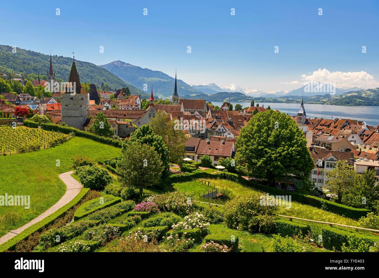 Vista città con Zytturm, Torre dei Cappuccini e chiesa, città vecchia con Zugersee, Rigi sul retro, Pilato Zug, Canton Zug, Svizzera Foto Stock