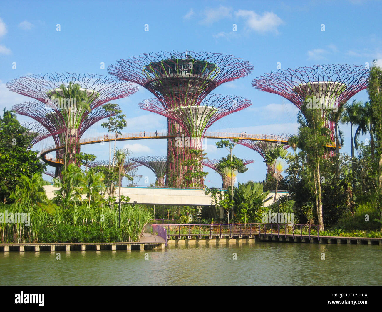 Giardini dalla baia di Marina Bay, Singapore Foto Stock
