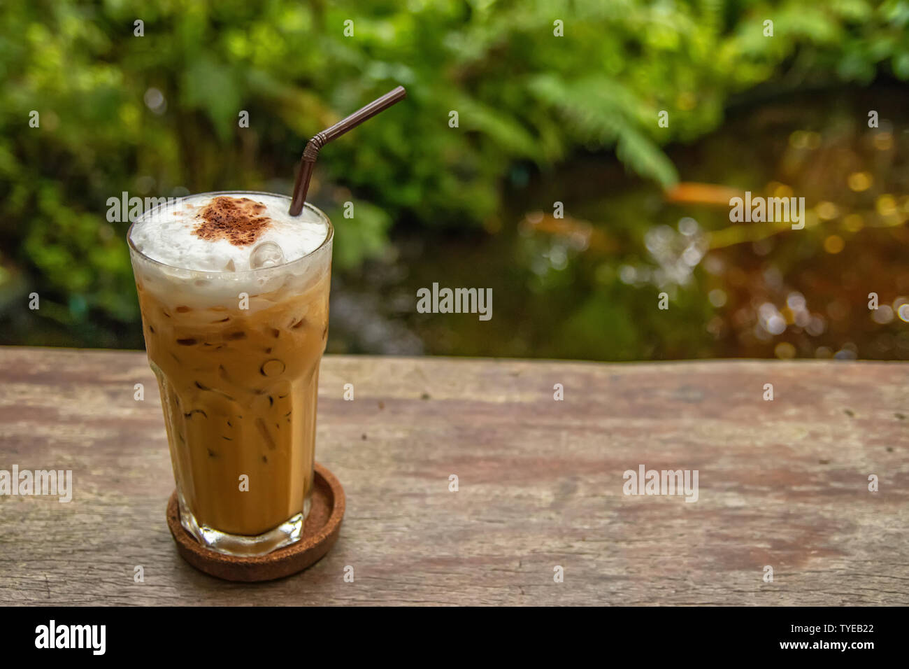 Una tazza di ghiaccio freddo caffè con foglia verde del giardino per il background e spazio di copia Foto Stock