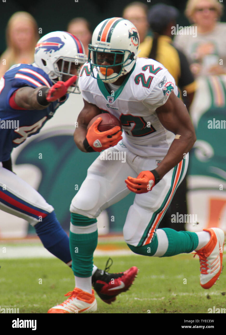 Delfini di Miami runningback Reggie Bush (22) assume una snap durante la prima metà dell'azione tra i delfini di Miami e le fatture della Buffalo il 20 novembre 2011 a Sun Life Stadium di Miami, Florida. UPI/Susan Knowles. Foto Stock