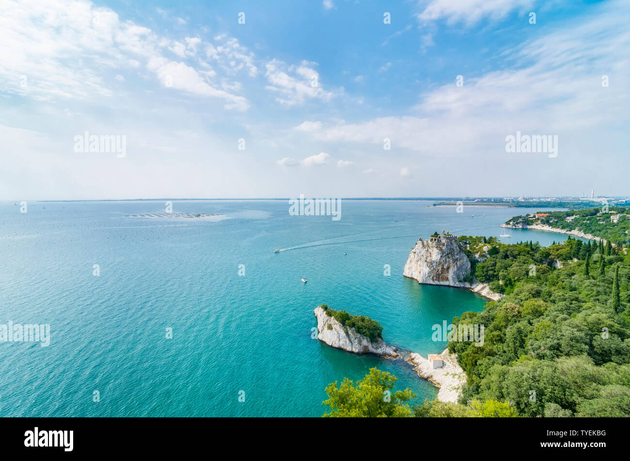 Acque color smeraldo del mare Adriatico costa vicino golfo di Trieste Duino, Italia Foto Stock