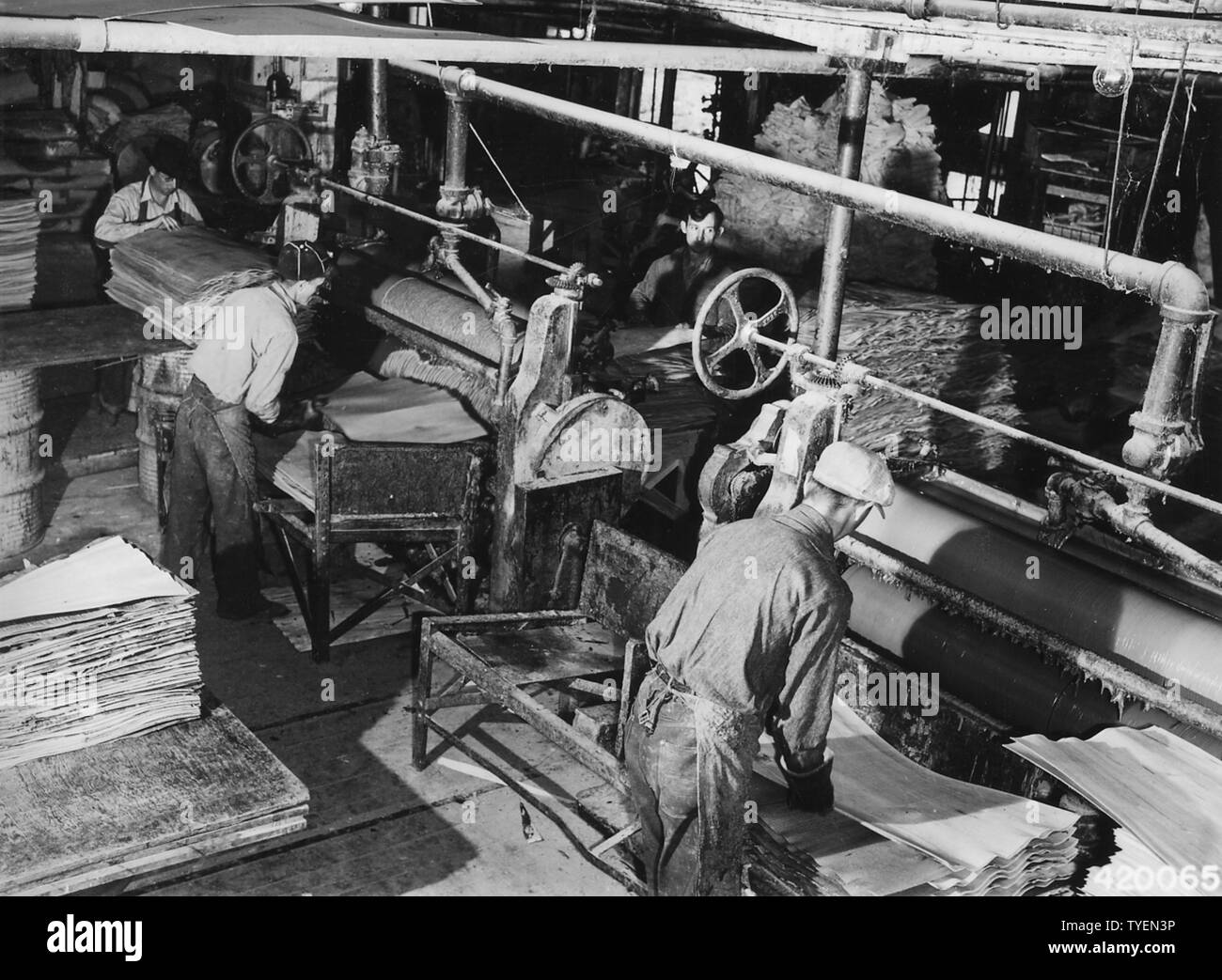 Fotografia di un foglio di impiallacciatura, campo di applicazione e il contenuto: didascalia originale: un foglio di impiallacciatura viene inviato attraverso questa macchina che mette un rivestimento di colla su entrambi i lati. I lavoratori in primo piano posto un pezzo scolla di impiallacciatura su ciascun lato risultante in tre veli compensato. Questo Legno compensato è essiccato sotto pressione e quindi condite a. Foto Stock