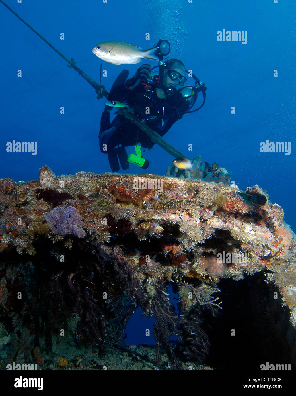 Un subacqueo scende su relitto della Spiegel Grove off di Key Largo, Florida in questo mese di Aprile 29, 2006 foto d'archivio. La Spiegel Grove, un 510 piedi nave da guerra, uno dei relitti più grande negli Stati Uniti, fu affondato per creare un reef artificiale sistema. Venerdì, 16 marzo 2007, tre subacquei che hanno perso la vita durante le immersioni all'interno del relitto. (UPI foto/Joe Marino) Foto Stock