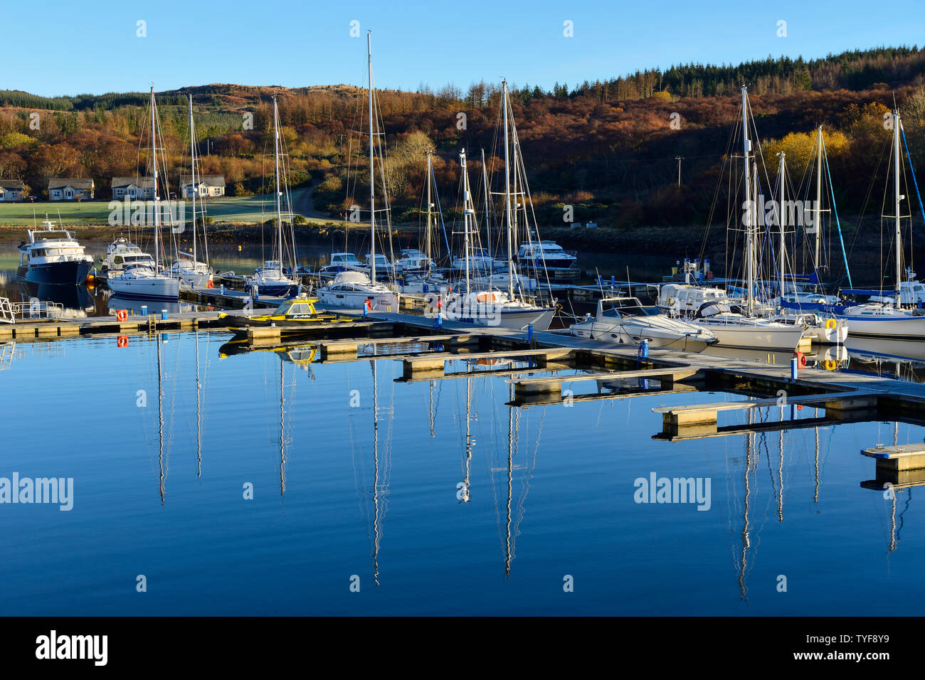 Yacht e incrociatori motore ormeggiato a Portavadie Marina sul Loch Fyne in Argyll and Bute, Scotland, Regno Unito Foto Stock