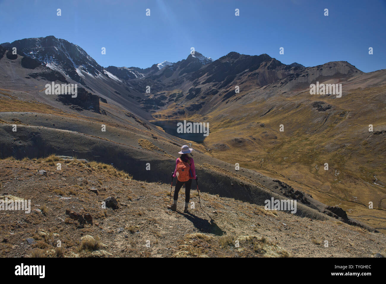 Trekking sopra Janchallani Laguna (laguna Sistaña) sulla Cordillera Real traversa, Bolivia Foto Stock