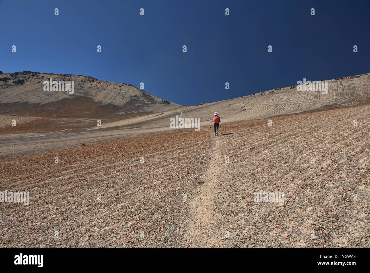 Attraversando un passa alto per Laguna Juri Khota sulla Cordillera Real traversa, Bolivia Foto Stock
