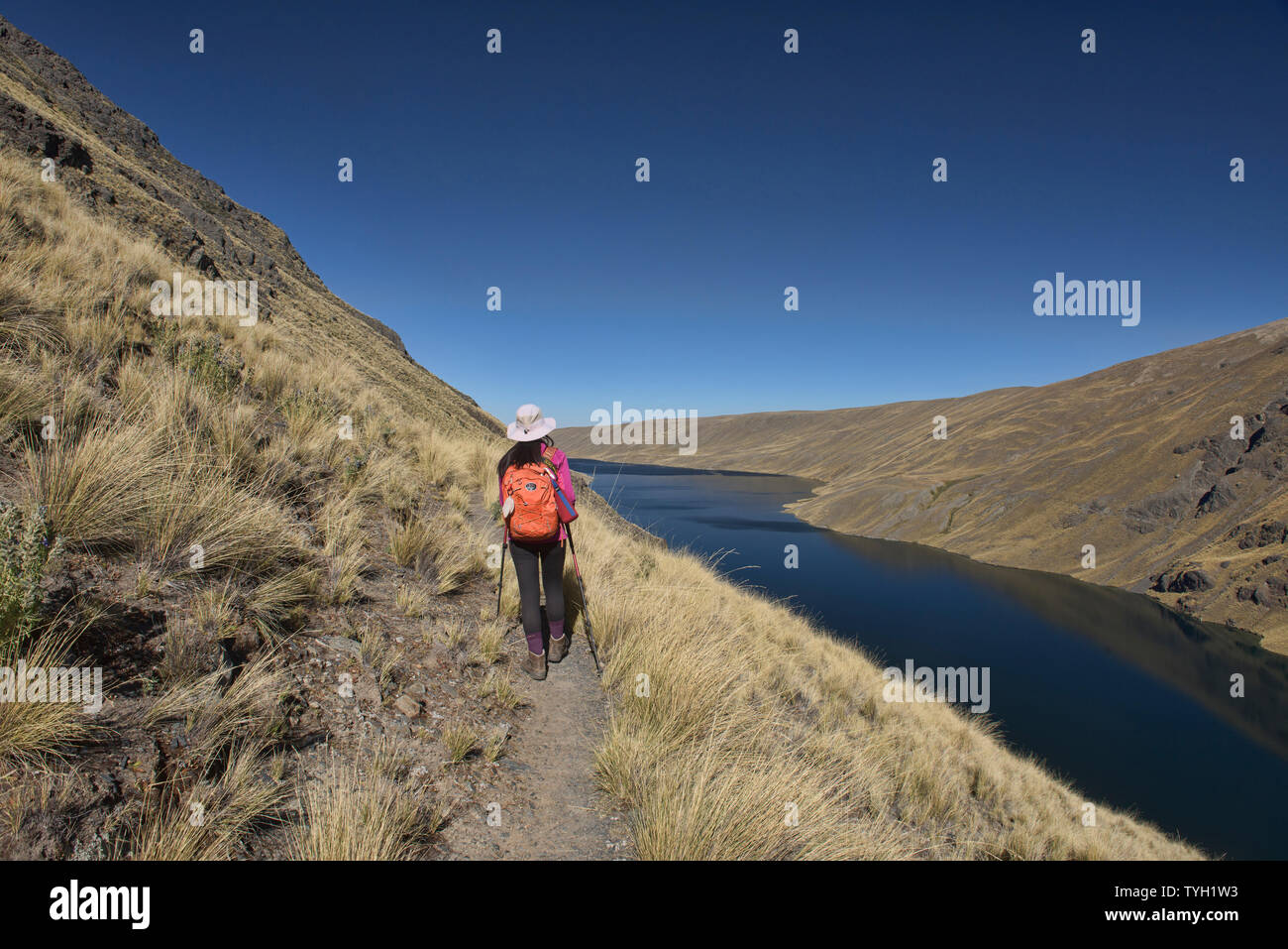 Trekking al di sopra del lago di Khara Khota (Q'ara Quta) lungo la cordigliera Real traversa, Bolivia Foto Stock