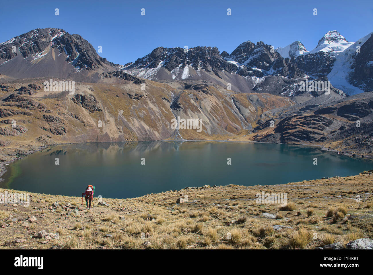 Salendo da Basecamp Condoriri sopra Laguna Chiar Khota sulla Cordillera Real traversa, Bolivia Foto Stock