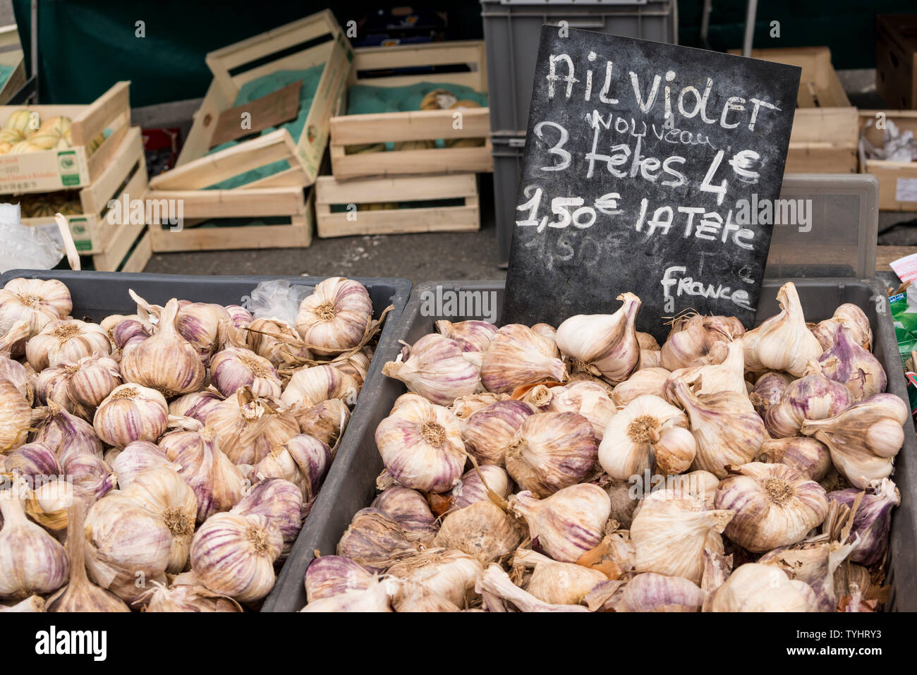 Bancarella vendendo lampadine di viola garlics in giovedì mercato settimanale a Dinan, Bretagna Francia Foto Stock