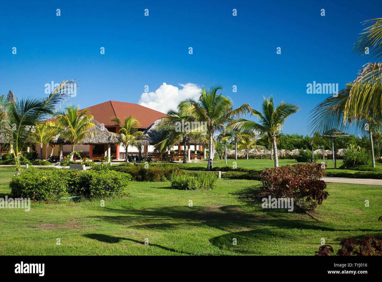 Villa esotica nascosta in alberi di palma di un lusso dei Caraibi holiday resort con giardino verde e blu cielo Foto Stock