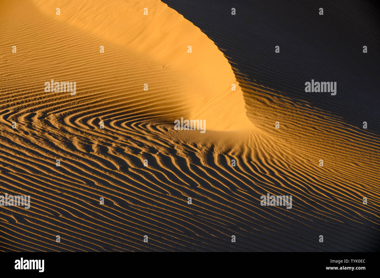 Le dune di sabbia, Nord Algadones Dune deserto, Imperiale co., California, Stati Uniti d'America. Foto Stock