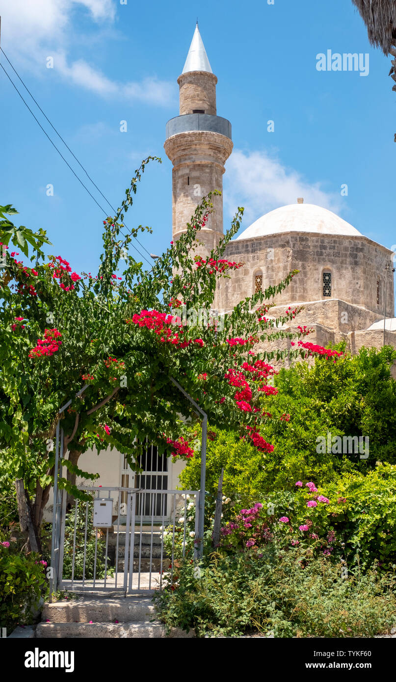 La Moschea Camii-Kebir a Pafos città vecchia, Cipro. Foto Stock La Moschea Camii-Kebir a Pafos città vecchia, Cipro. Foto Stock