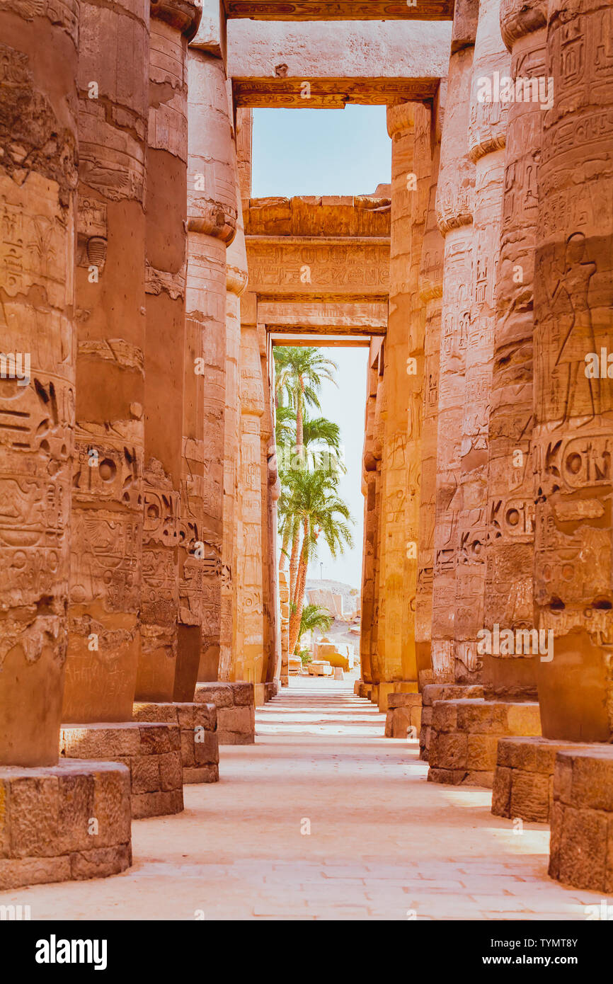 Le statue e le colonne all'interno del tempio di Luxor in Egitto Foto Stock