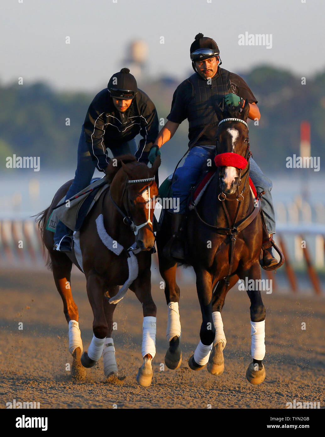 Il Belmont Stakes contender avrò un altro corre sulla pista per un inizio di mattina allenamento a Belmont Park di Elmont New York il 8 giugno 2012. Con la vittoria di sabato al 144in esecuzione del Belmont Stakes avrò un altro diventerà il primo cavallo a vincere la Triple Crown quanto affermato ha vinto nel 1978. UPI/John Angelillo Foto Stock