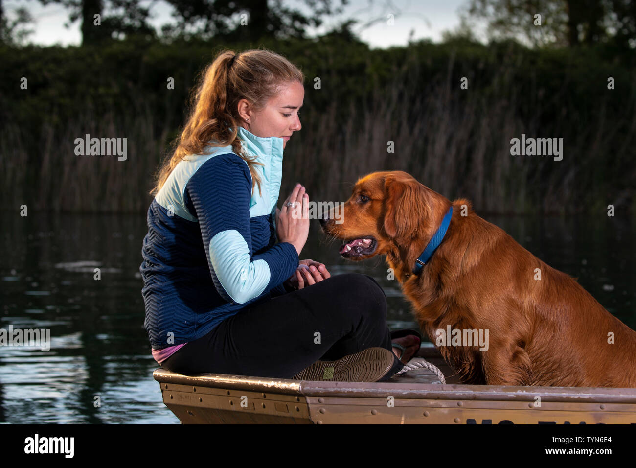 Una donna che dà un comando per il suo golden retriever cane. Foto Stock