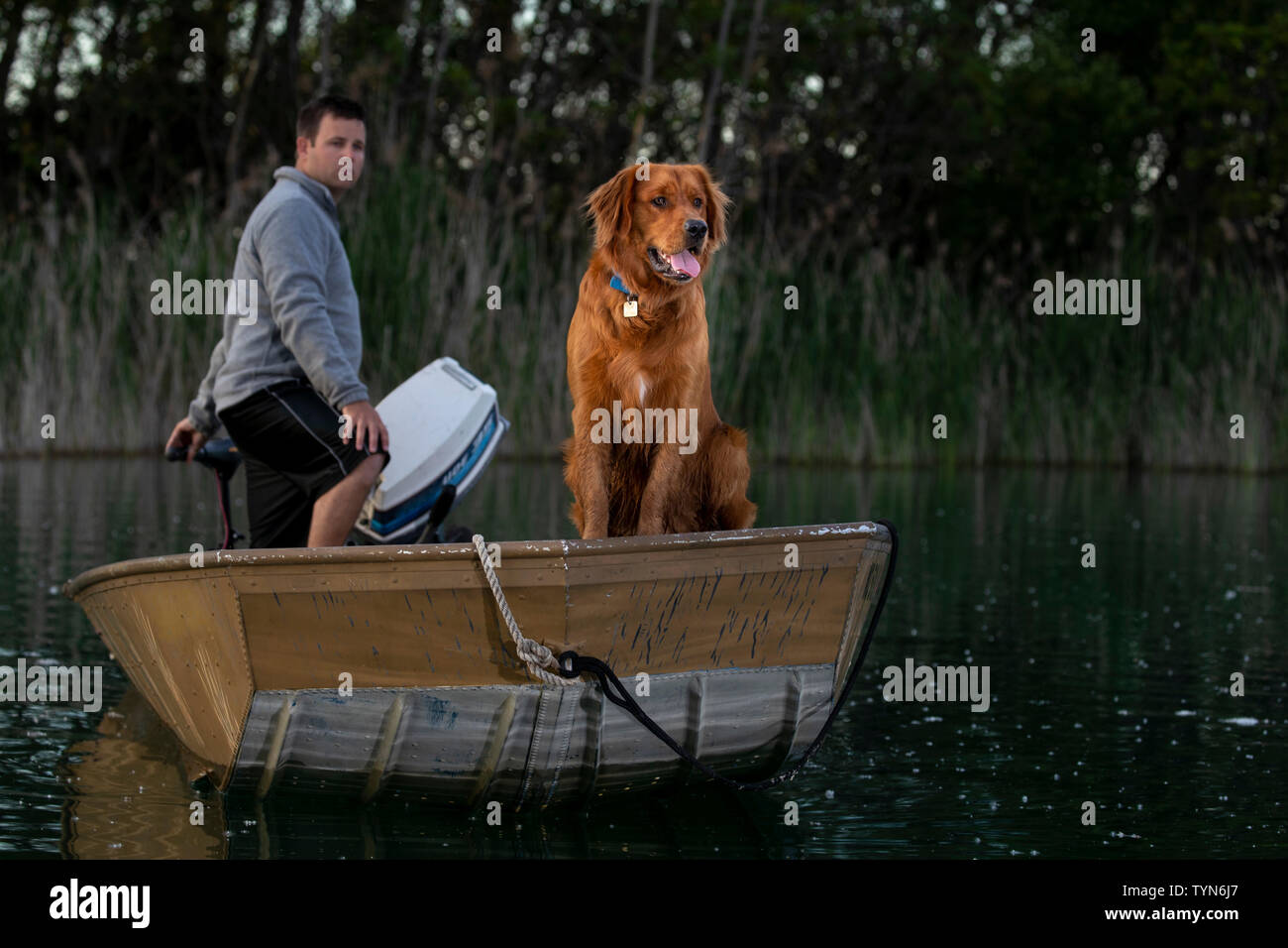 Un golden retriever dog sitter a prua di una piccola barca essendo guidato da un uomo. Foto Stock