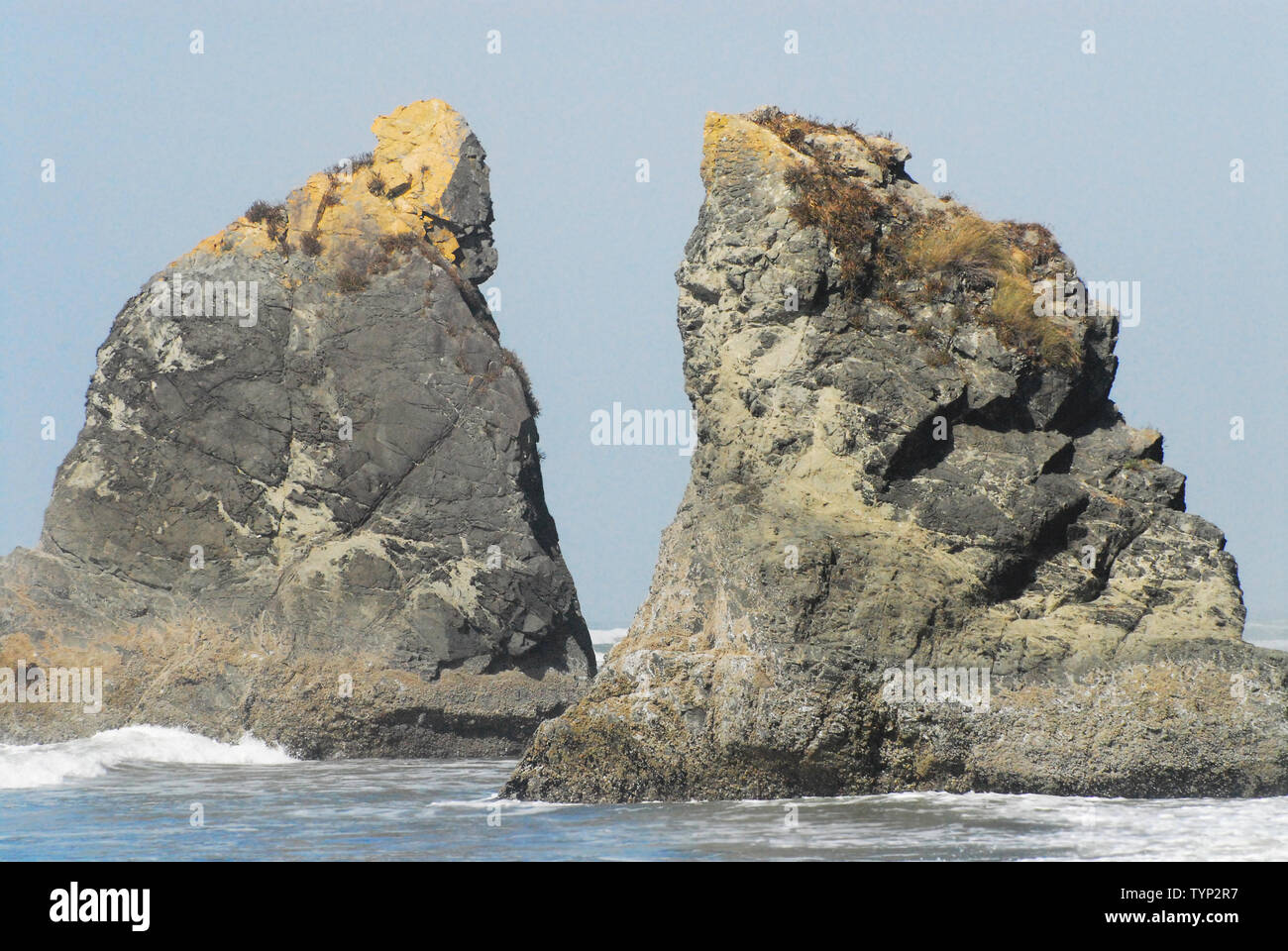 Sulla fascia costiera sull'Oceano Pacifico del Parco Nazionale di Olympic, antico in pietra moti crea bellissimi curiosità di contrasto lungo la riva. Foto Stock