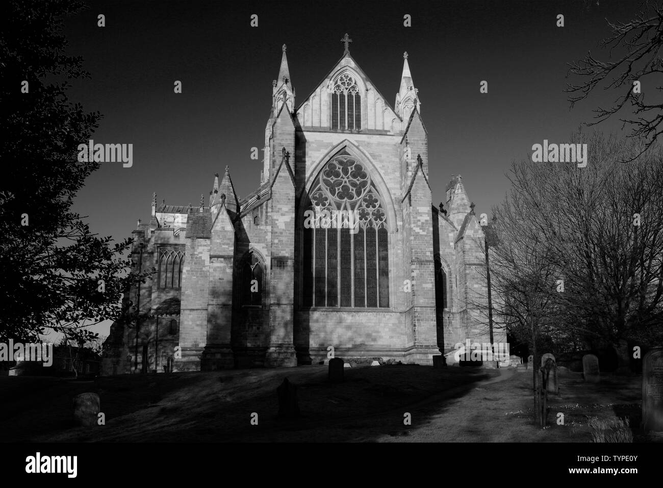 Fiori di Primavera, nella cattedrale di Ripon; Ripon città; North Yorkshire; Inghilterra; Regno Unito Foto Stock