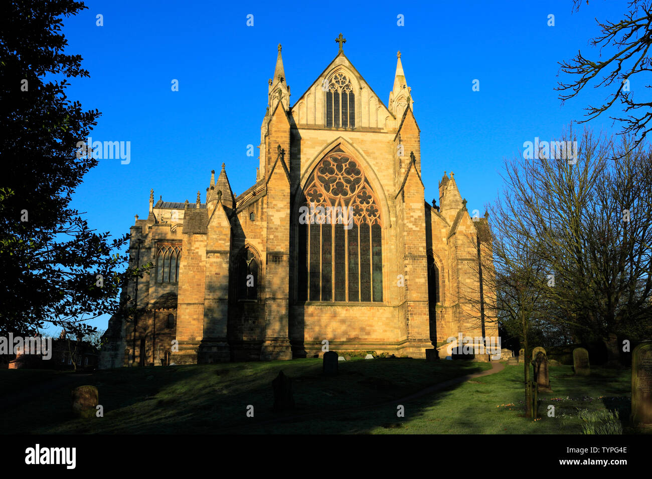 Fiori di Primavera, nella cattedrale di Ripon; Ripon città; North Yorkshire; Inghilterra; Regno Unito Foto Stock