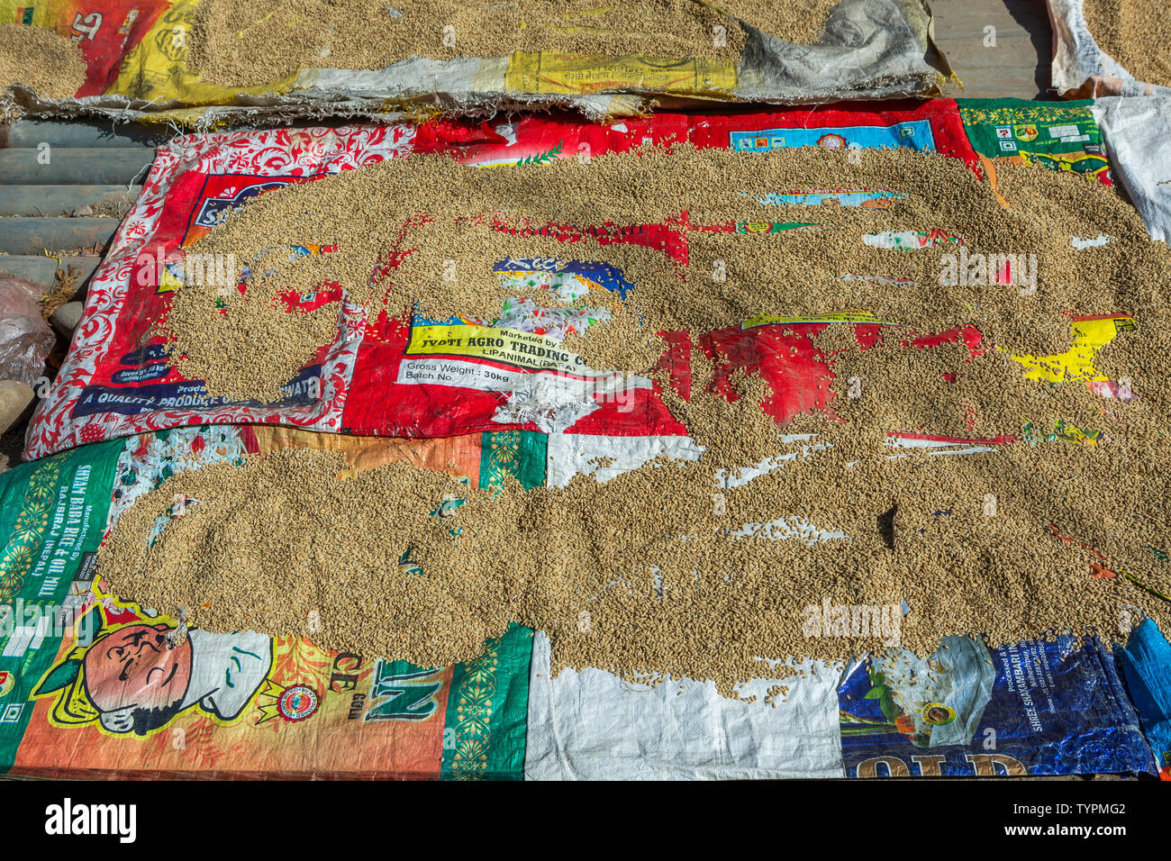 Pila di riso sparsi su carta e buste di cibo per morire al sole Foto Stock