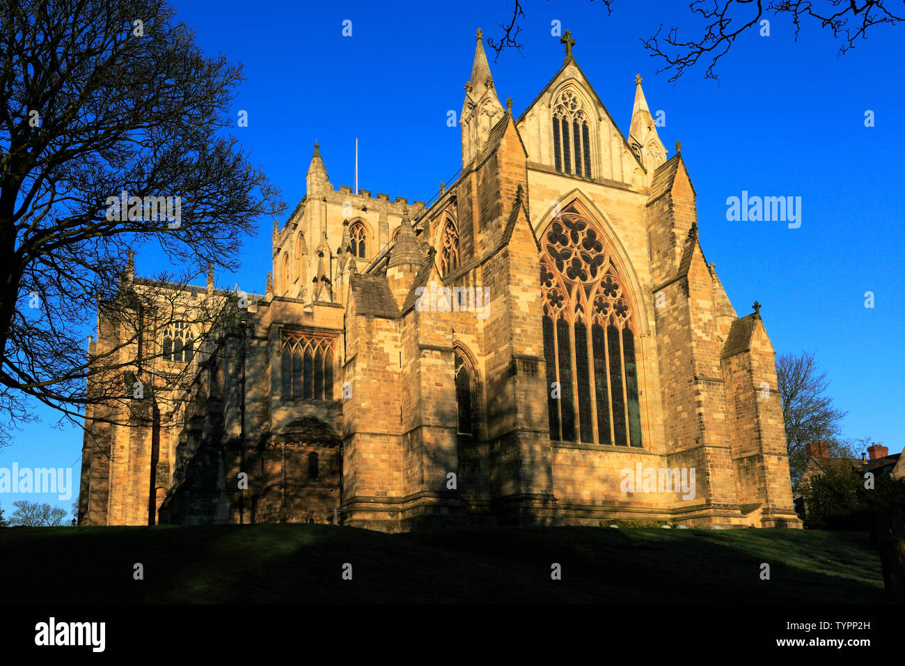Fiori di Primavera, nella cattedrale di Ripon; Ripon città; North Yorkshire; Inghilterra; Regno Unito Foto Stock